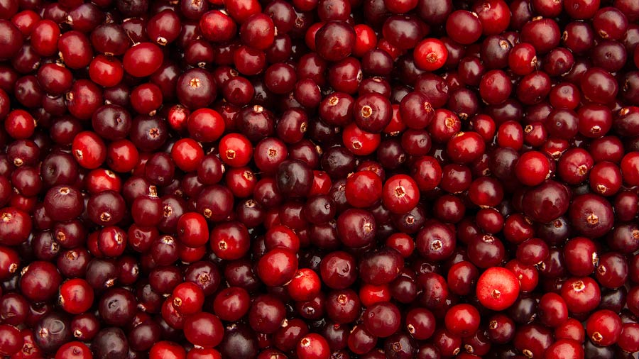 Cranberries are a superfood
